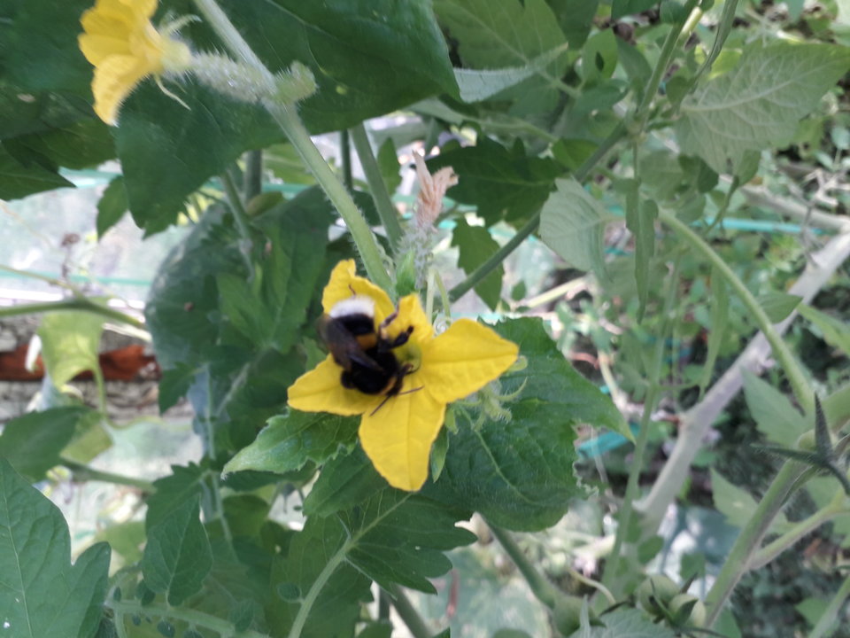 20190825_092317.jpg - 40pluspomorze