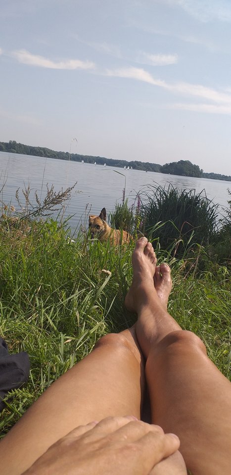 20190825_112827.jpg - Pas16