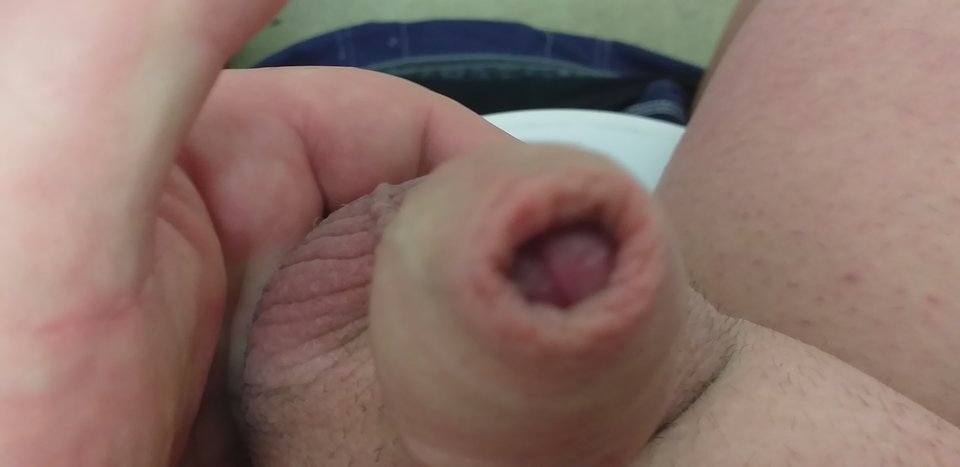 20190823_054841.jpg - robercu