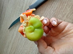 20190825_141114_HDR.jpg