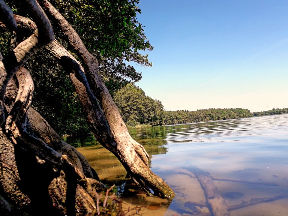 20190825_154152.jpg - Alien65