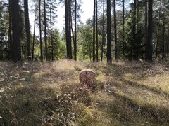 IMG_20190825_131356.jpg