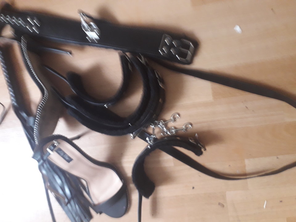 20190825_131707.jpg - niski2222