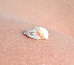 IMG_20190810_133121.jpg
