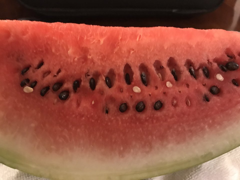 72CE0D5A-695B-4586-B482-7CA16FC987FF.jpeg - Magnetyzer17