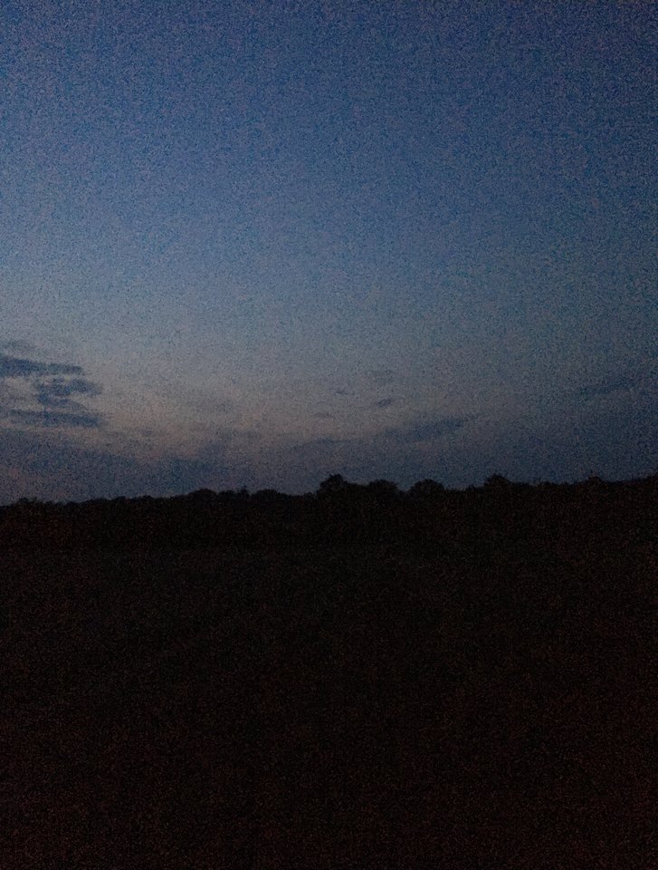 023BDDD3-6104-44ED-9B12-90D1C1013B55.jpeg - Szef299