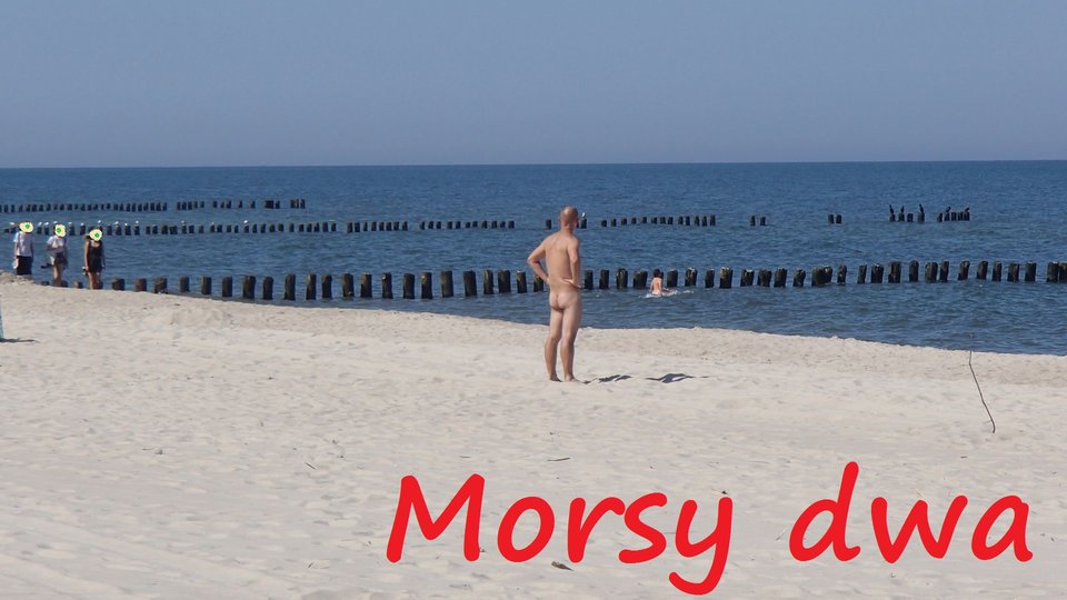 Chałupy. - Morsy_dwa