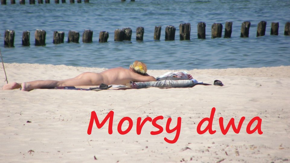 Chałupy. - Morsy_dwa