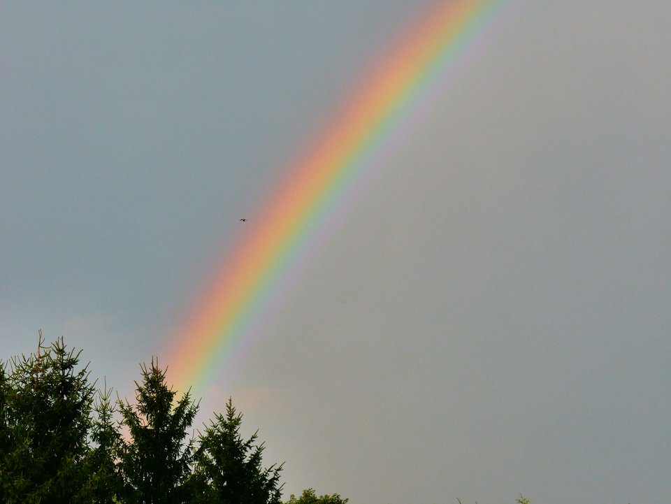 P1080855a.jpg - FoKam431