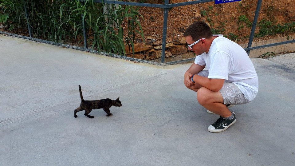 received_2405931169687484.jpeg - Birbant89