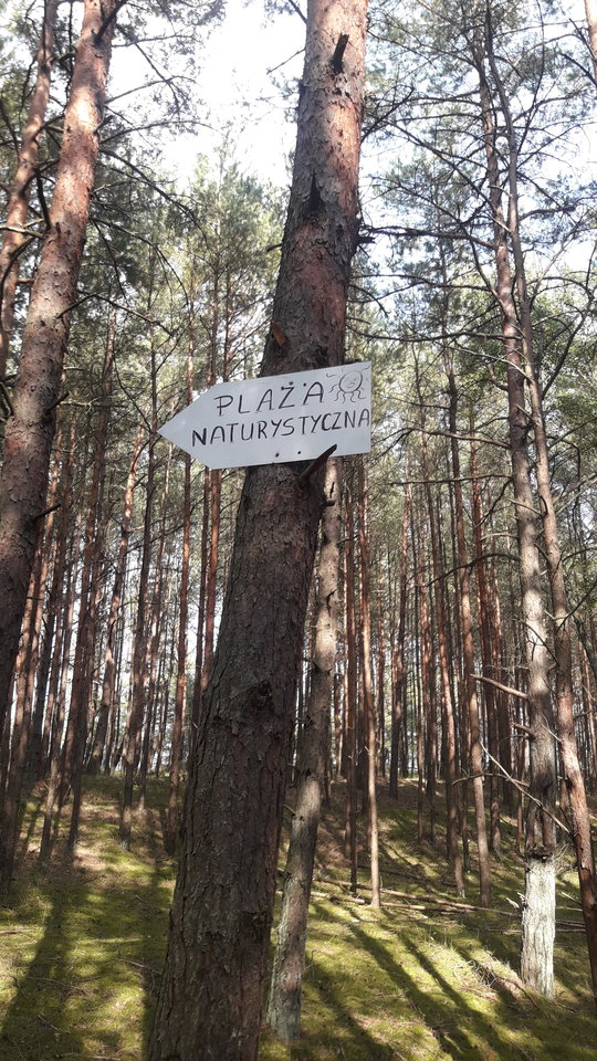 20190828_143956.jpg - pokuszenine