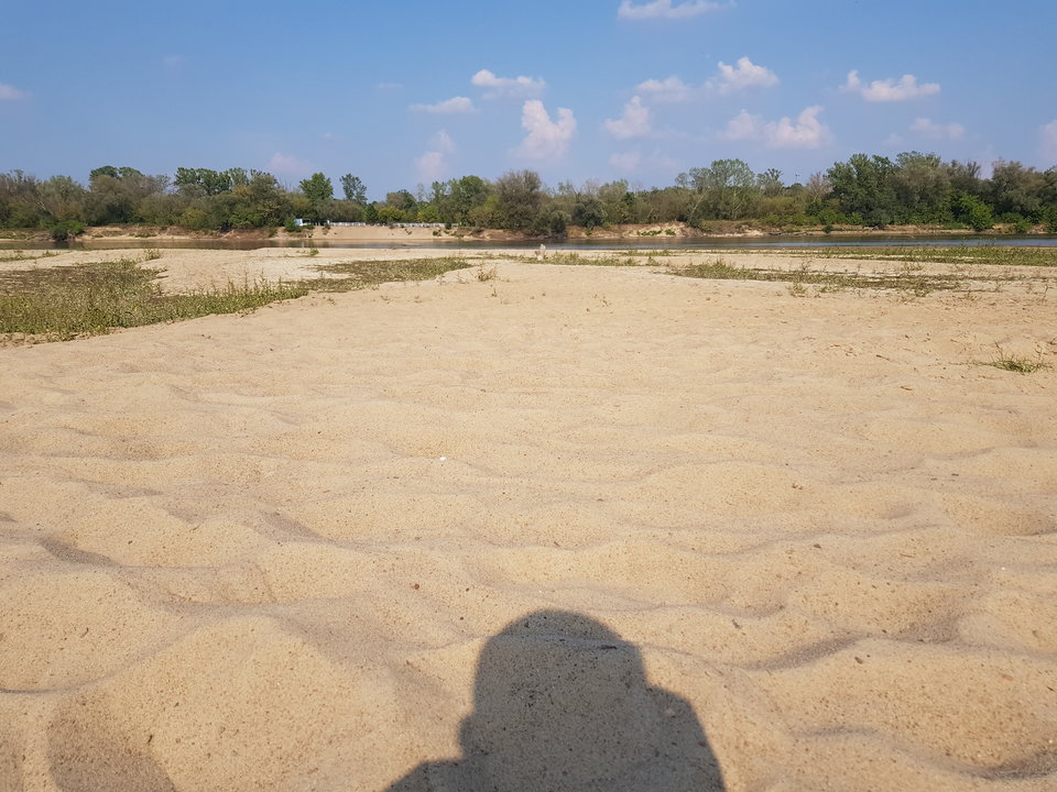 20190829_153751.jpg - alvaro23