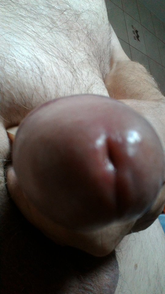 69186105_2462116620678343_3872088466758041600_n.jpg - konrad5258