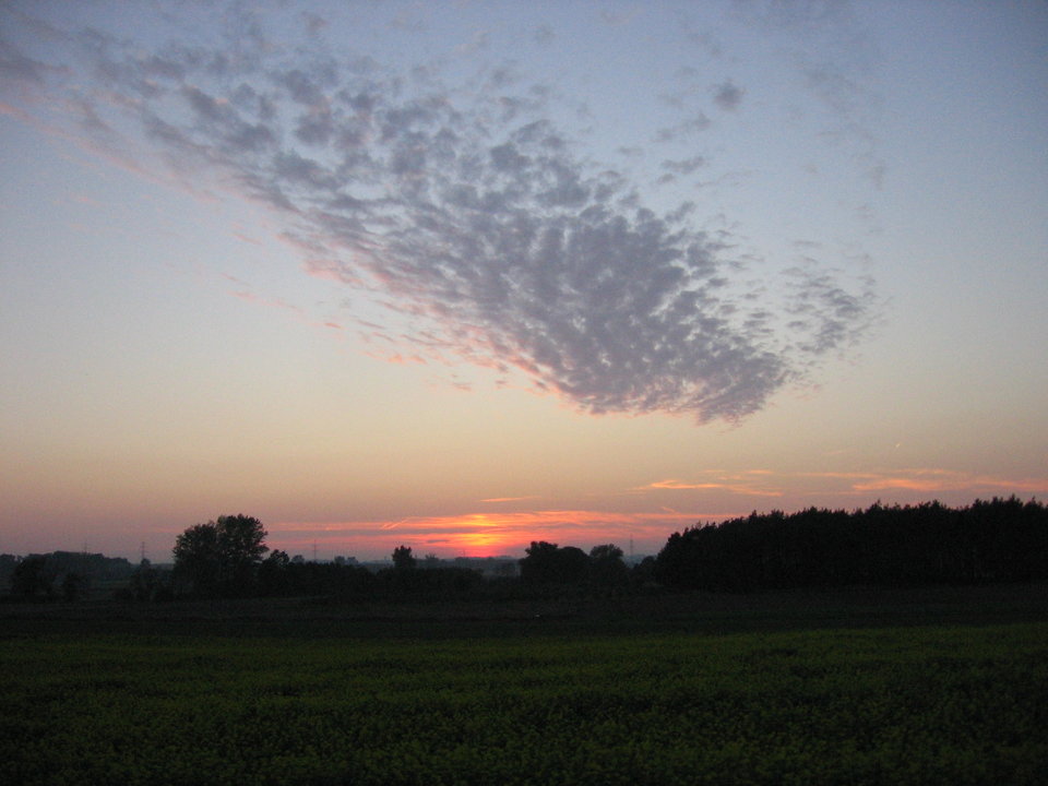 IMG_4602.jpg - Tommy_gun1