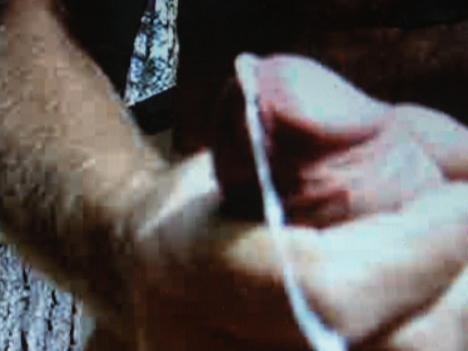 P9290215.JPG - jamnik7522