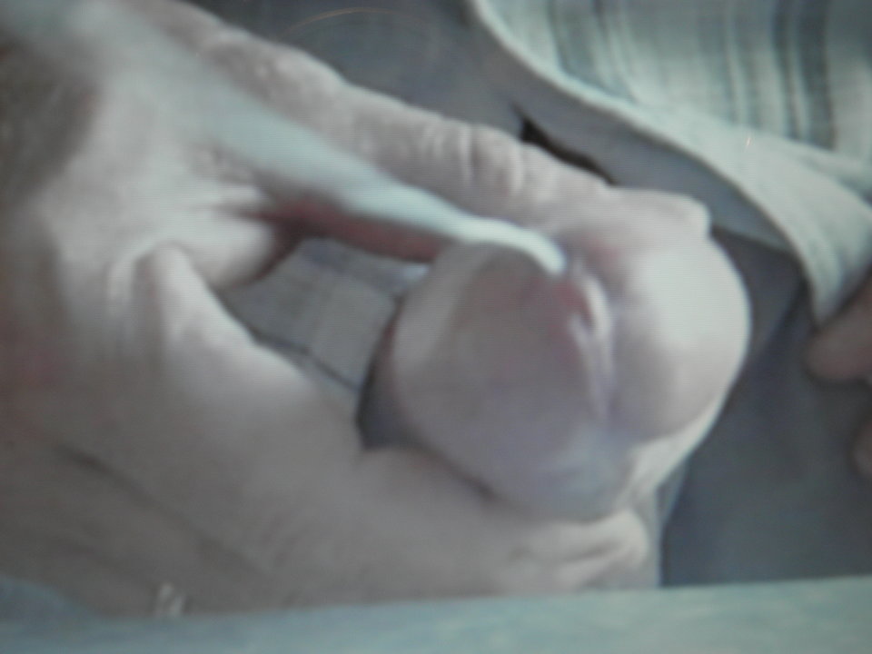 P9300221.JPG - jamnik7522