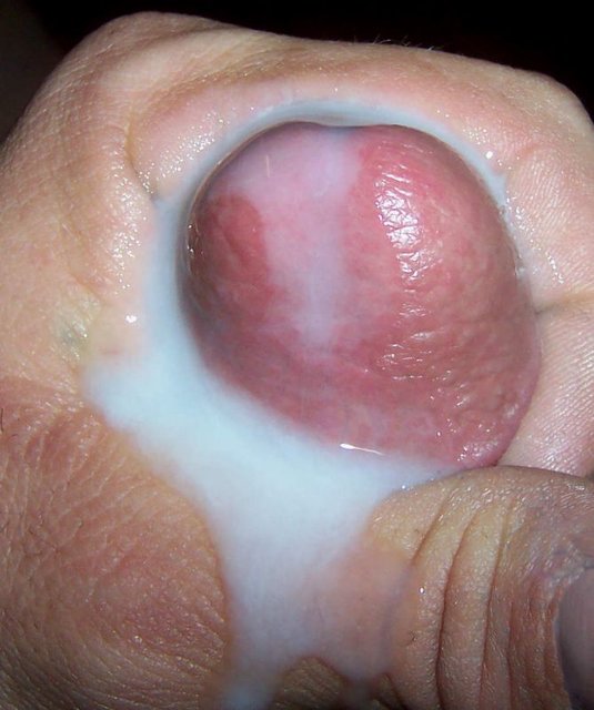 080606ji04.jpg - adamekq