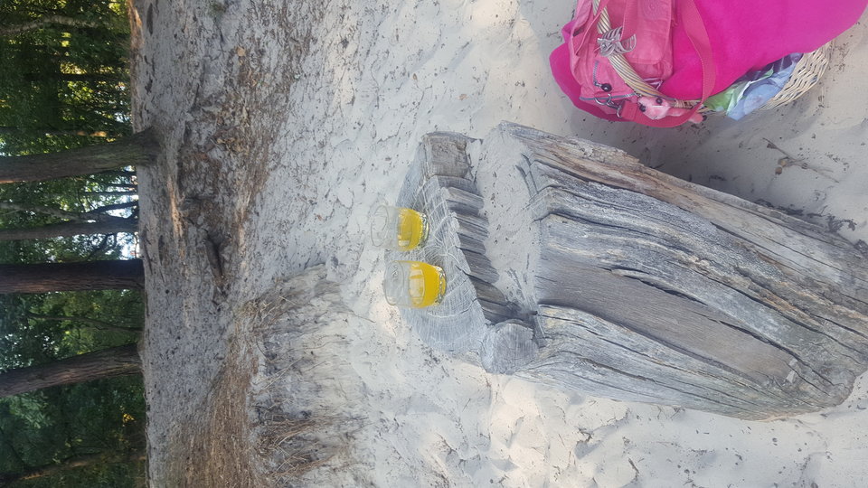 20190831_162933.jpg - paraka1973
