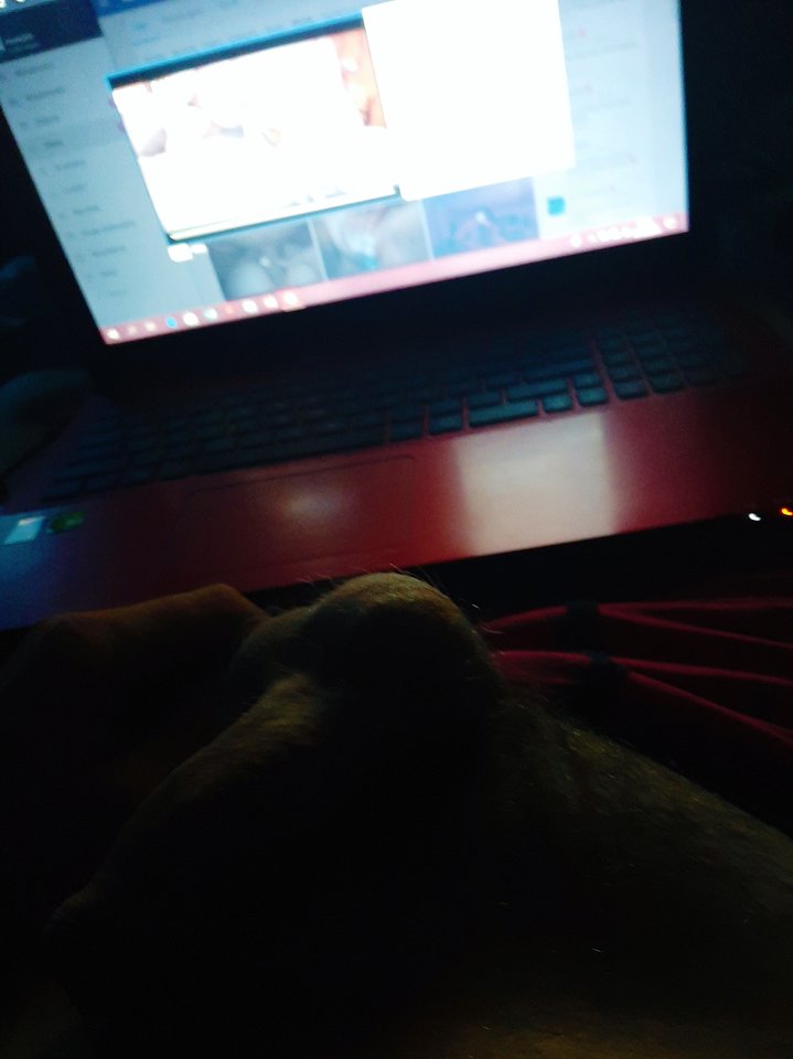 20190901_043553.jpeg - Pawka94