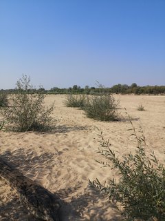 2019-09-01 14.50.42.jpg