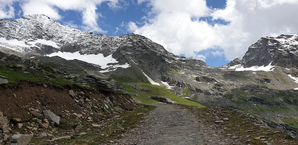 20190820_110236.jpg - sediento11