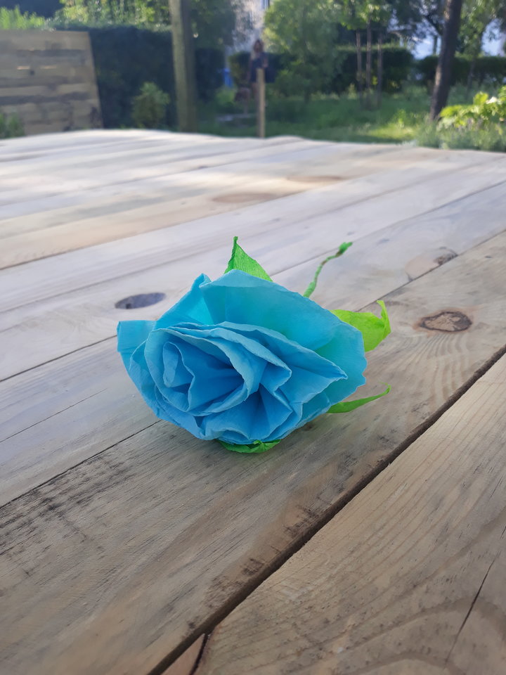 20190825_175122.jpg - daroo20011