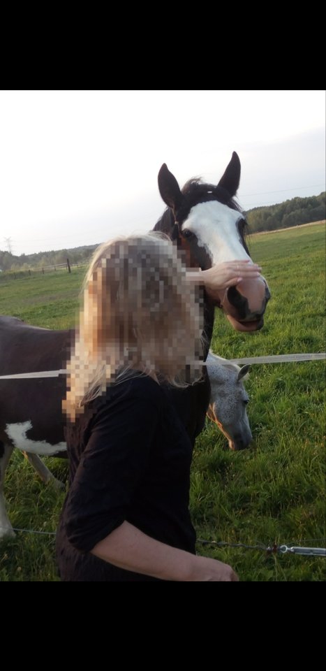 Screenshot_20190902-155442_Gallery.jpg - Nuteczek101