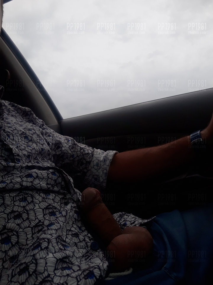 20190902_165156.jpg - pp1981