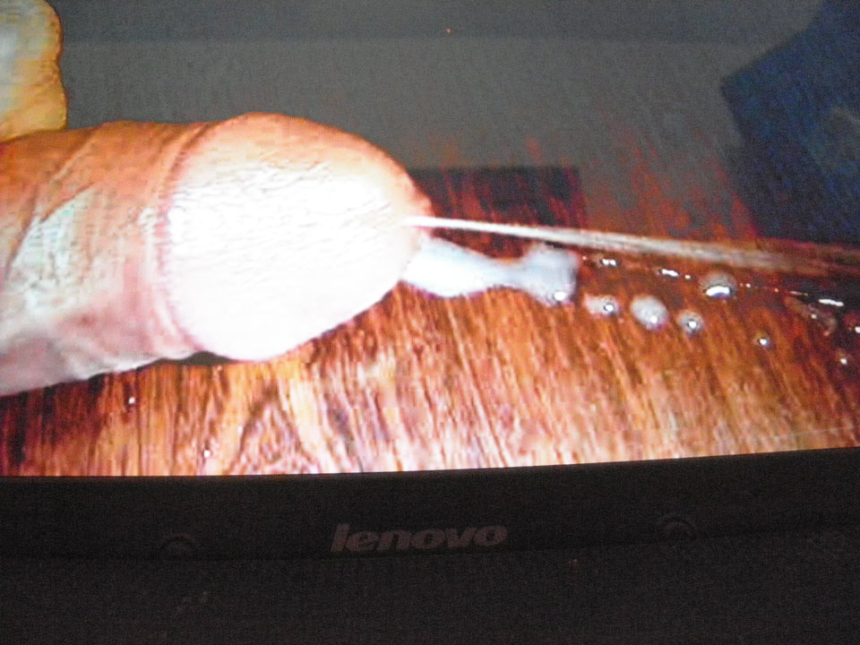 PA280223.JPG - jamnik7522