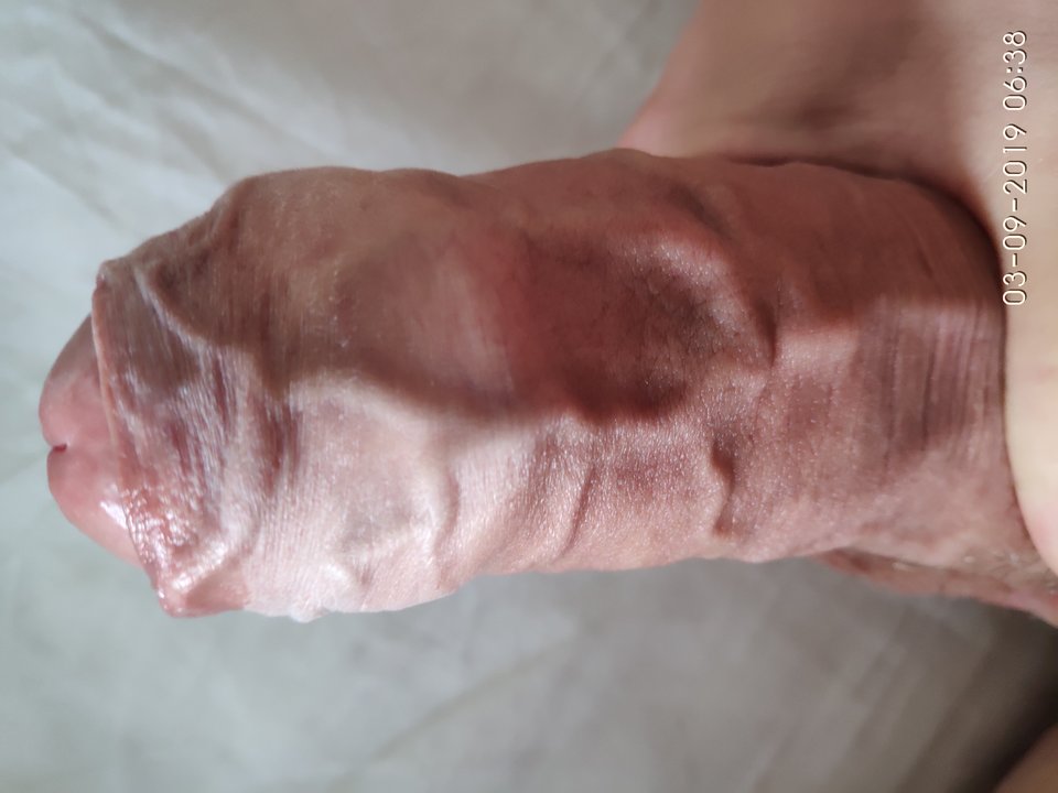 1567485292876..jpg - tomania