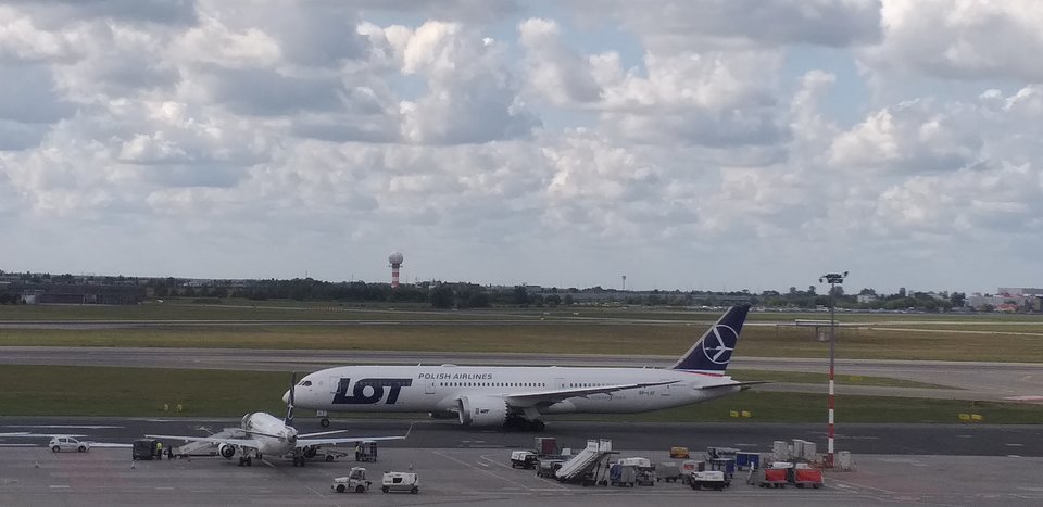 20190903_130137.jpg - Koralik66