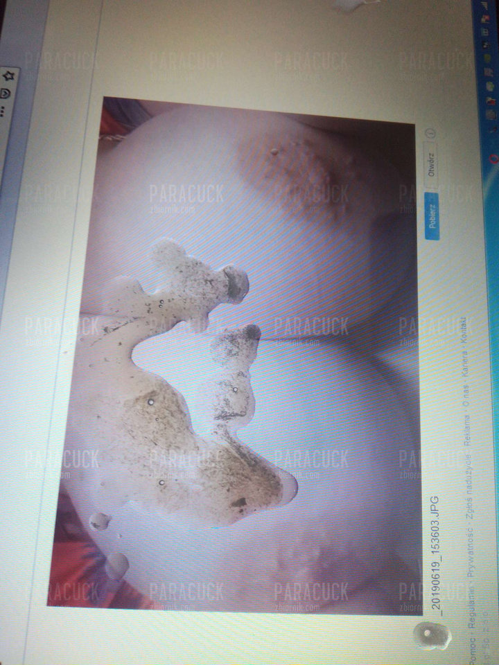 2019-06-19_17.09.23.jpg - ParaCuck