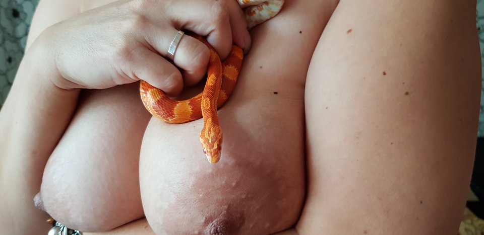 20190903_174735[1].jpg - ParaCK1976