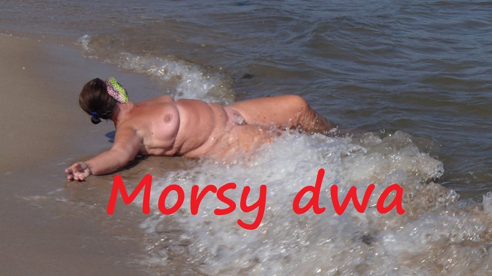 Chałupy - Morsy_dwa