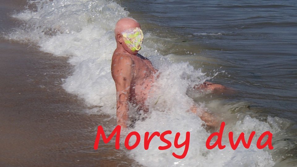 Chałupy - Morsy_dwa