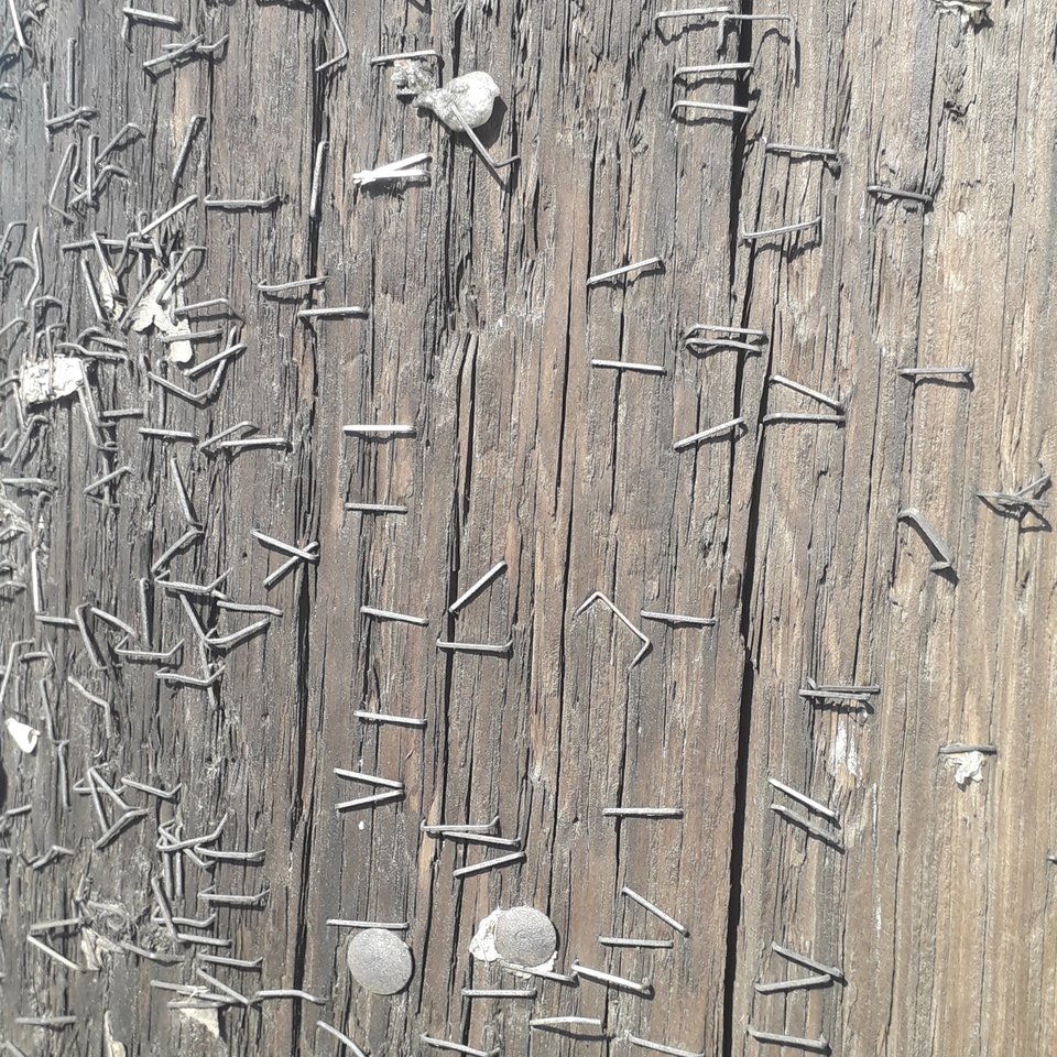 20190902_183106.jpg - Takija40