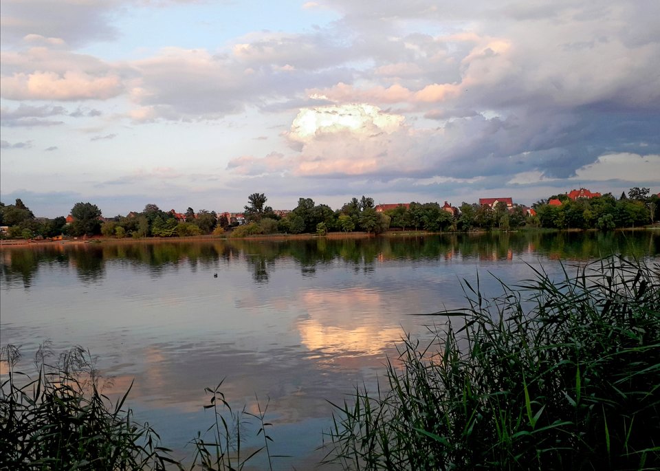 20190905_181037.jpg - Alien65