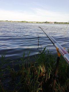 IMG_20180609_171031.jpg