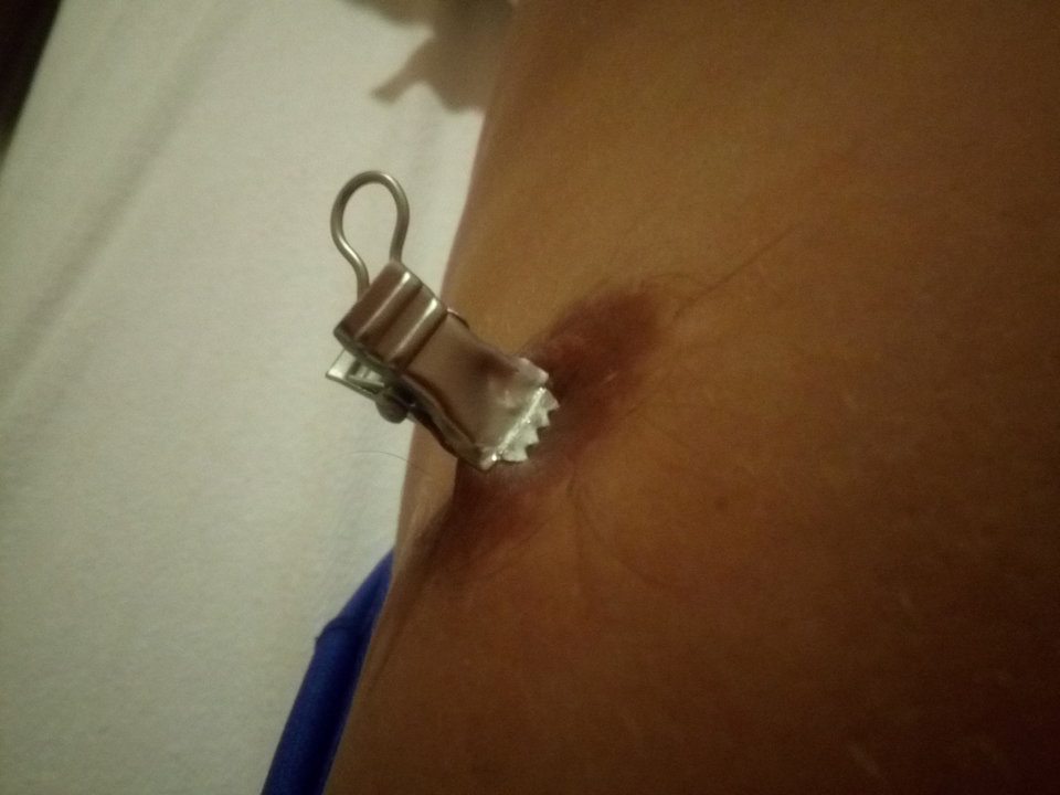 IMG_20190905_200403.jpg - krakerss