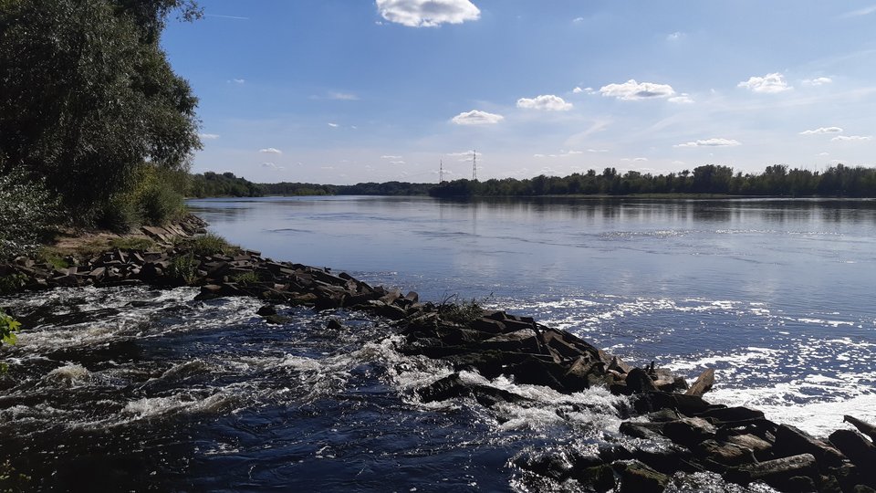 20190906_143346.jpg - Arrou