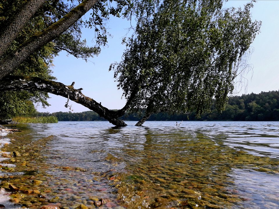 20190827_134646.jpg - Alien65