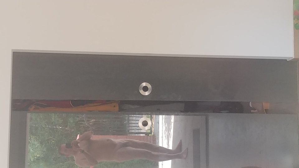 20190829_152207.jpg - Zdit