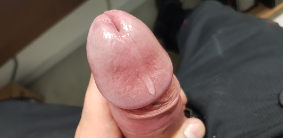 15678326014787674709029721449337.jpg - Zminimalizowany