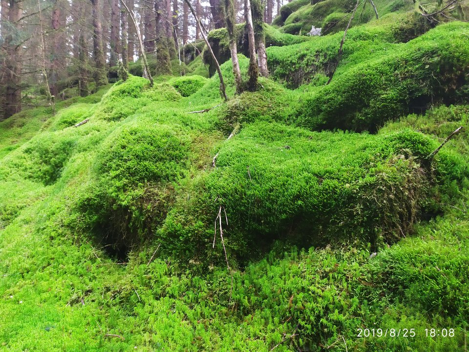 IMG_20190825_180857.jpg - expresso