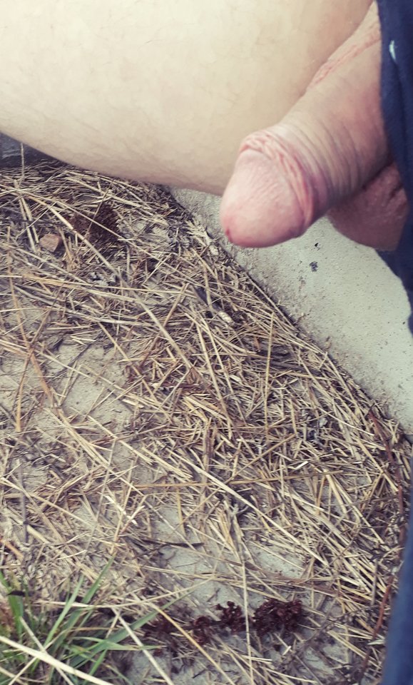 20190908_163814.jpg - Veget