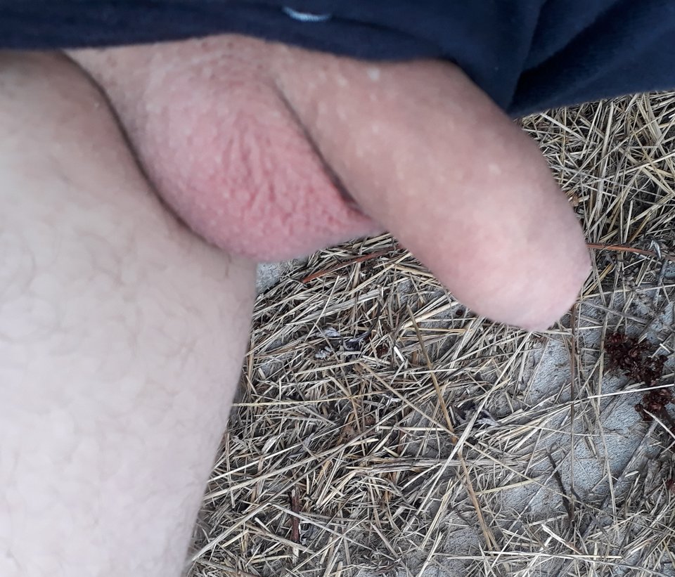 20190908_163706.jpg - Veget