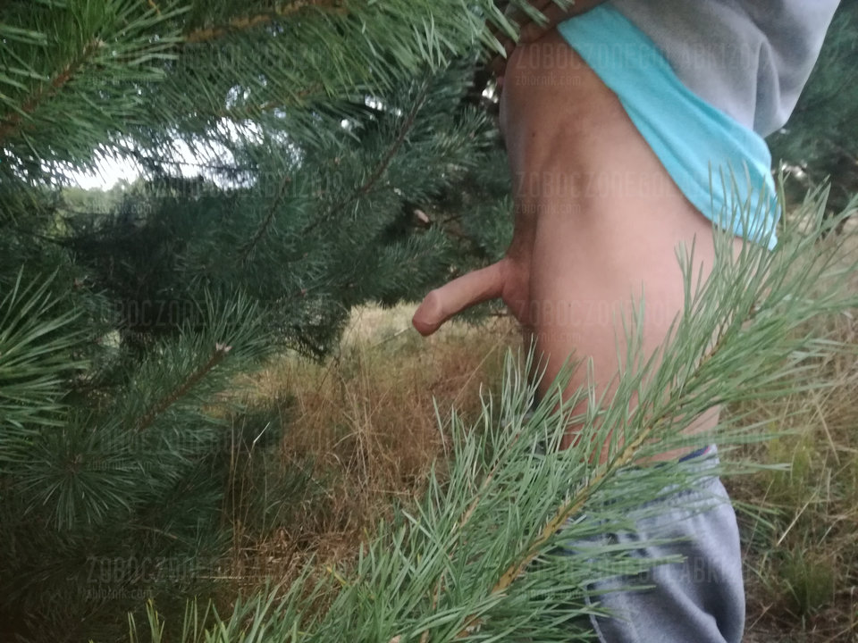 IMG_20190908_185842.jpg - ZoboczoneGolabki2019