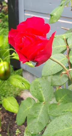 20190909_095620.jpg