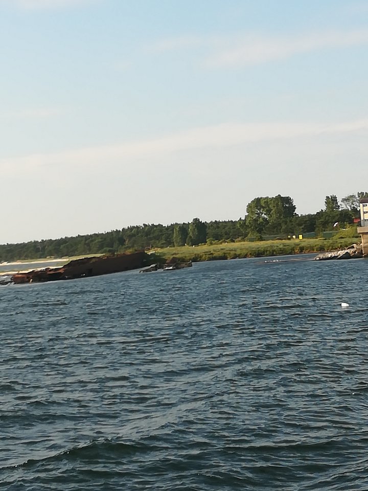 IMG_20190726_180436.jpg - tomtom19799