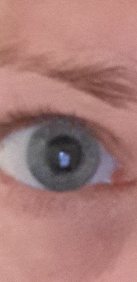 Screenshot_20190910-202607_Gallery.jpg - Nuteczek101